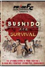 Watch Pride Bushido 11 Tvmuse