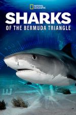 Watch Sharks of the Bermuda Triangle (TV Special 2020) Tvmuse