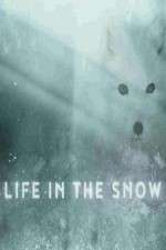 Watch Life in the Snow Tvmuse