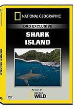Watch National Geographic: Shark Island Tvmuse