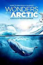 Watch Wonders of the Arctic 3D Tvmuse