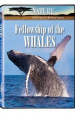 Watch Fellowship Of The Whales Tvmuse