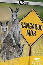 Watch Kangaroo Mob Tvmuse