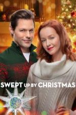 Watch Swept Up by Christmas Tvmuse