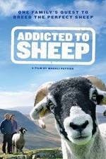 Watch Addicted to Sheep Tvmuse
