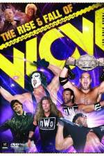 Watch WWE The Rise and Fall of WCW Tvmuse