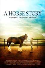 Watch A Horse Story Tvmuse