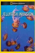 Watch National Geographic: Wild Jellyfish invasion Tvmuse