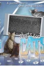 Watch Shorts for Cats Tvmuse