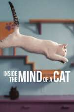 Watch Inside the Mind of a Cat Tvmuse