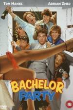 Watch Bachelor Party Tvmuse