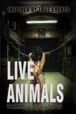 Watch Live Animals Tvmuse