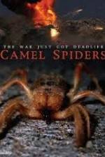 Watch Camel Spiders Tvmuse