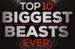 Watch Top 10 Biggest Beasts Ever Tvmuse