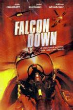 Watch Falcon Down Tvmuse