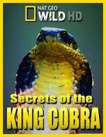 Watch Secrets of the King Cobra Tvmuse