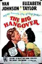 Watch The Big Hangover Tvmuse