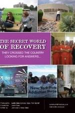 Watch The Secret World of Recovery Tvmuse