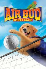 Watch Air Bud: Spikes Back Tvmuse