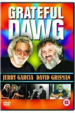 Watch Grateful Dawg Tvmuse