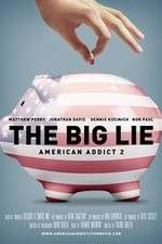 Watch American Addict 2 The Big Lie Tvmuse