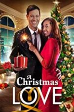 Watch A Christmas Love Tvmuse