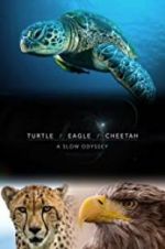 Watch Turtle, Eagle, Cheetah: A Slow Odyssey Tvmuse