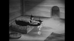 Watch Wise Quacks (Short 1939) Tvmuse