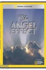 Watch National Geographic Explorer - The Angel Effect Tvmuse