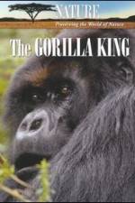 Watch Nature The Gorilla King Tvmuse