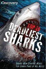 Watch National Geographic Worlds Deadliest Sharks Tvmuse