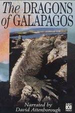 Watch The Dragons of Galapagos Tvmuse