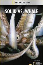 Watch National Geographic Wild - Squid Vs Whale Tvmuse