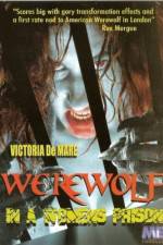 Watch Werewolf in a Women's Prison Tvmuse