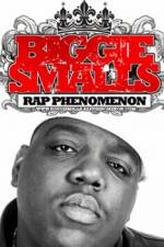Watch Biggie Smalls Rap Phenomenon Tvmuse