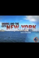 Watch Sharks and the City: New York Tvmuse