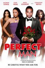 Watch The Perfect Man Tvmuse