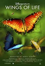 Watch Disneynature: Wings of Life Tvmuse