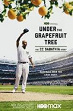 Watch Under the Grapefruit Tree: The CC Sabathia Story Tvmuse