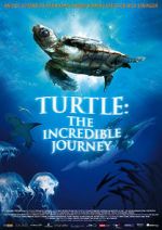 Watch Turtle: The Incredible Journey Tvmuse