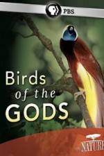 Watch Birds Of The Gods Tvmuse