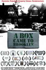 Watch A Box Came to Brooklyn Tvmuse