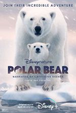 Watch Polar Bear Tvmuse