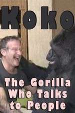 Watch Koko: The Gorilla Who Talks to People Tvmuse