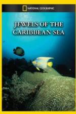 Watch National Geographic Jewels of the Caribbean Sea Tvmuse