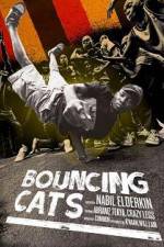 Watch Bouncing Cats Tvmuse