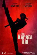 Watch The Karate Kid Tvmuse