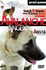 Watch Avalanche Angels Tvmuse