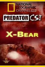 Watch Predator CSI X-Bear Tvmuse
