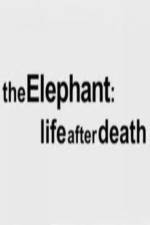 Watch The Elephant - Life After Death Tvmuse